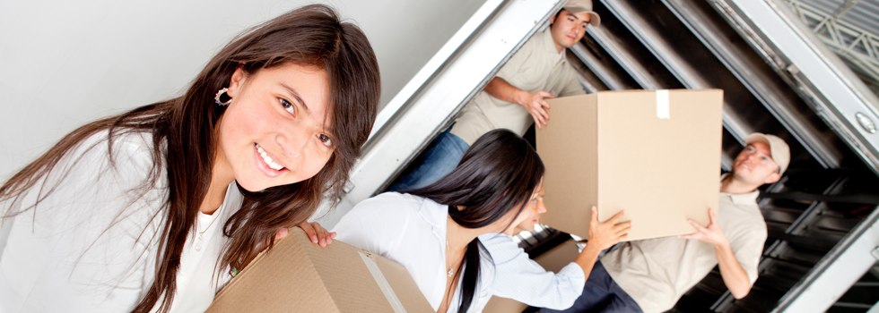Professional Removalists Oxley Flats